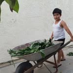 eva tostado - @eva196754 - Instagram