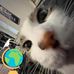 Eva Trahan - Facebook