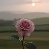 evatrejo_03 - @evatrejo_03 - TikTok