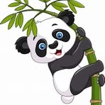 Eva Tsui - Facebook
