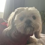 Eva Turnbull - Facebook