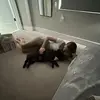 eva_ulmer - @eva_ulmer - TikTok