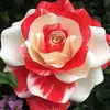 Eva.Valentino - @evavalentinolfxgui - TikTok