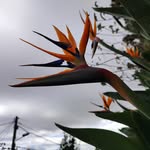 Eva Verdugo - @evavergar63 - Instagram