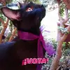 Eva Villeda Morales - @eva.villeda.moral - TikTok