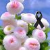 Eva Vincze - Facebook