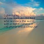 Eva Vincze - @coastaltideandtimber - Instagram