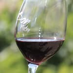 St. Eva Vineyard - @st.eva.vineyard - Instagram