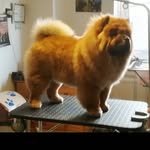 Éva Vörös - @voros_eva72 - Instagram
