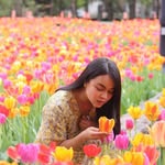 Eva Wang - @evawang2233 - Instagram
