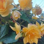 Eva Wasser - Facebook