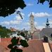 Eva Weber - Facebook