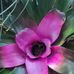 Eva Weber - Facebook