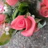 Eva Weingartner - @eva.weingartner - TikTok
