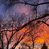 Eva_Wellington13 - @eva_wellington13 - TikTok