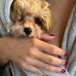 Eva wellington - @eva_bae_01 - Instagram