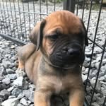 Evan Wellman - @evanwellman2019 - Instagram