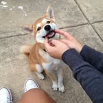 eva_wesley - @eva_wesley - Instagram
