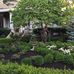 Eva Wessels - Facebook