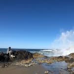 Evan Westbrook - @evanwestbrook1 - Instagram