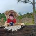 Evan Westbrook - Facebook