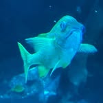 Evan Westbrook - @evanwestbrook7 - Instagram