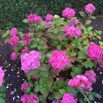 Eva Westphal - Facebook