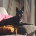 Eva Whitehouse - Facebook