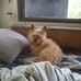Eva Whitfield - Facebook