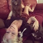 Eva Whitty - @evawhitty1 - Instagram