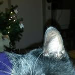 Eva Wichmann - Facebook