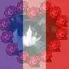 Eve Wichmann - @eve.wichmann - TikTok