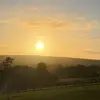 🐴Eva🐴 - @eva.wiggins262 - TikTok