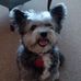 Eva Wiggins - Facebook