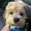 evan - @evan.winn - TikTok