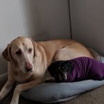winston_n_eva - @winston_n_eva - Instagram
