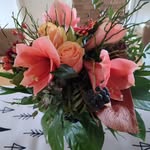 Eva Winter - @evawinter799 - Instagram