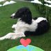 Eva Winter - Facebook