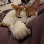 Eva Winter - @evawinter1312 - Instagram