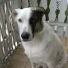 Eva Winter - @eva.winter1 - TikTok