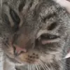 Eva - @evawinterss - TikTok