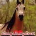 Eva Wiseman - Facebook