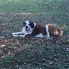 ava.worley - @ava.worley - TikTok