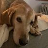 evansworthy - @evansworthy - TikTok