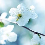 Eva Yau - @eva19570905 - Instagram