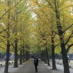 Eva Yau - @eva.yau.5015 - Instagram