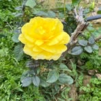 Eva Yau - Facebook