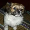 Pretty uwu - @evayauri - TikTok