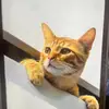 Eva Zhao - @user4115303774758 - TikTok