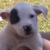 Evalyn Johnson - Facebook